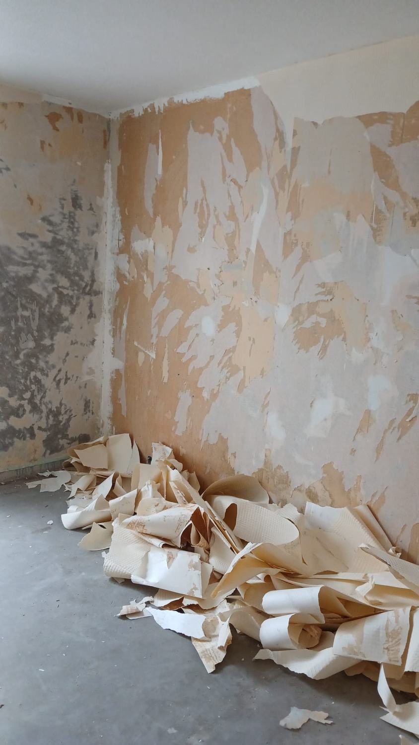 Dépose du papier peint avant remise en état des murs, rénovation à Montpellier