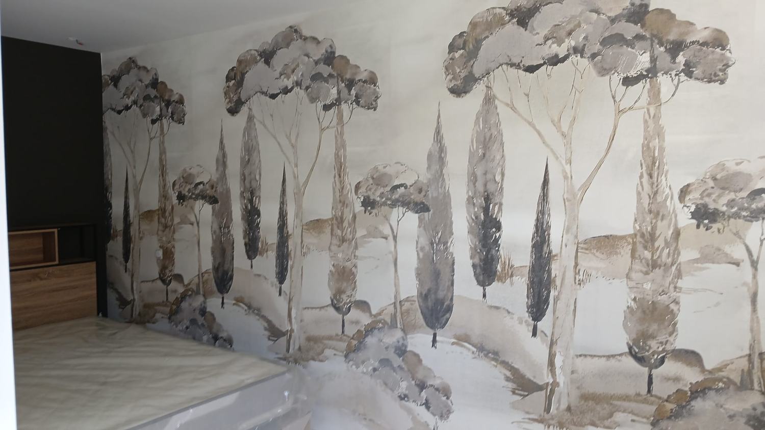Papier peint panoramique posé par ACTION PEINTURE dans l'Hérault
